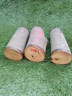 Lime Woodturning Log Blankscarvingcraft Wood1.8kg200x60 • £5.50