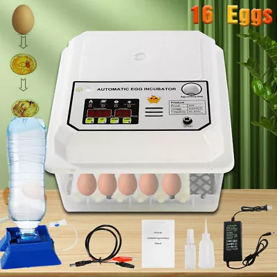 16 Eggs Egg Incubator For Hatching Egg Full Automatic Turning Duck Chicken Egg • $46.94