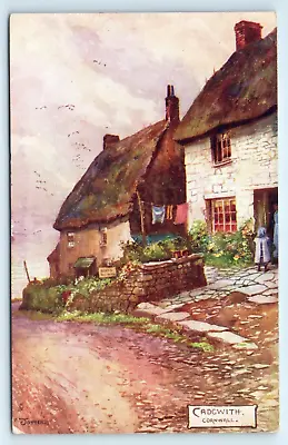 Postcard Raphael Tuck & Sons - Cadgwith Cornwall - 1681 -1906 • £4