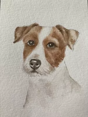 Original Not A Print ACEO Watercolour Signed & Dated. Jack Russell Dog • £6