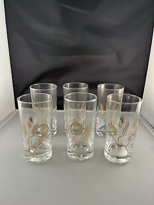 Set Of 6 - VINTAGE HOMER LAUGHLIN GOLDEN WHEAT 10 Oz CLEAR DRINKING GLASSES • $29.99