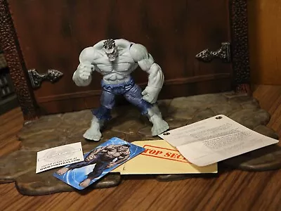 Hasbro Marvel Universe 3.75  Series 1 Grey Hulk Action Figure #014 • $17