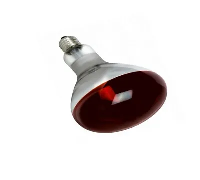 £17.99 • Buy INFRA RED HEAT BULBS X 2 LAMP RUBY 250w Poultry|Lambs|Livestock|Catering