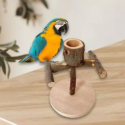 Bird Training Stand Multifunction Playing Wood Wooden Perch Toy Pet Supplies • $15.55