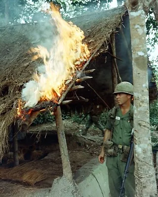 U.S. Infantry Find And Burn A Viet Cong Village 8x10 Vietnam War Photo 656 • $7.43