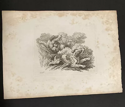 £9.99 • Buy Etching By Samuel Howitt DOGS