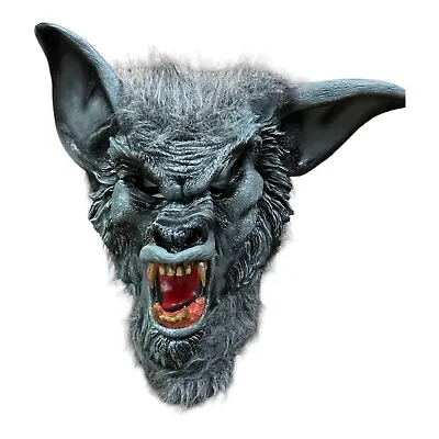 Gray Big Ear Realistic Teeth Werewolf Adult Mask Full Head Furry Scary Halloween • $13.90