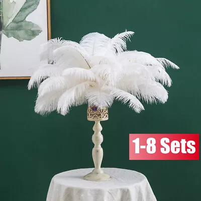 Long Ostrich Feathers Wedding Costume Plume Decor Party Banquet Ornament 25-30cm • £8.56