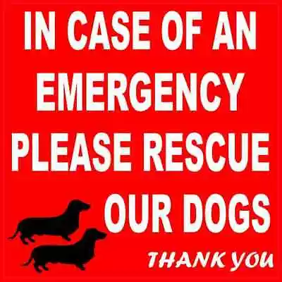 4 X 4 Dachshund Please Rescue Our Dogs Sticker Car Truck Vehicle Bumper Decal • $7.99