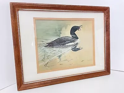 Michael Dumas Loon Fishing Framed Matted Print Signed • $34.94