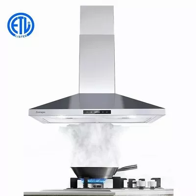 30 Inch Range Hood Stainless Steel Wall Mount Kitchen Over Stove Vent 450 CFM • $129.99