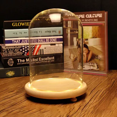 £8.95 • Buy Large Glass Dome Clear Bell Jar Cloche With Warm White Light Wooden Base Stands