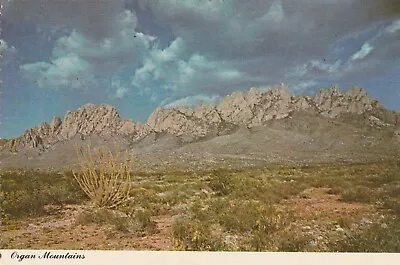 Postcard J: Organ Mountains • $0.99