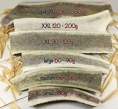 £22.99 • Buy Split Wild Antler Horn Dog Chews Small Medium Large XL...100% Natural - Calcium