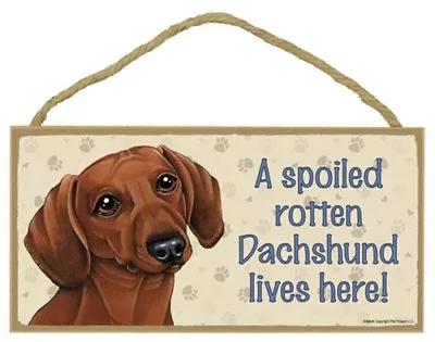 A Spoiled Rotten Dachshund Lives Here! (Brown) Dog Sign 5 X10  Wood Plaque 154 • $12.99