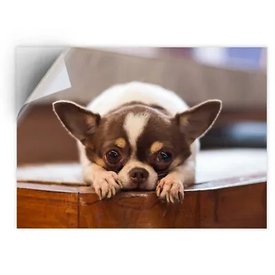 £5.99 • Buy 1 X Vinyl Sticker A4 - Little Chihuahua Dog Puppy  #21340