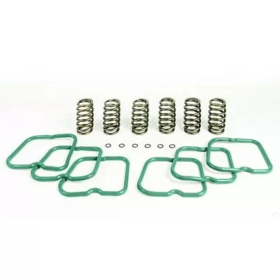 PacBrake Basic Valve Spring Kit (6 Springs) For 1994-1998 Dodge 5.9l Cummins • $163.79