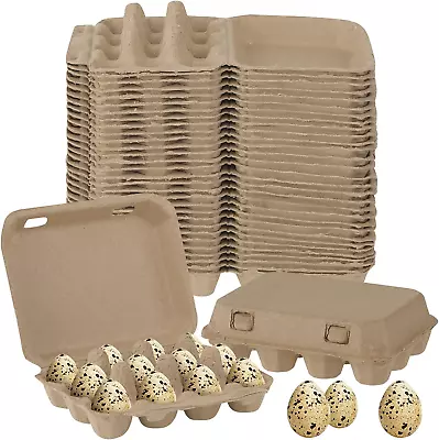 60 Pcs Quail Egg Cartons Paper Pulp Egg Basket A Dozen Egg Crates Blank Cardboar • $39.14