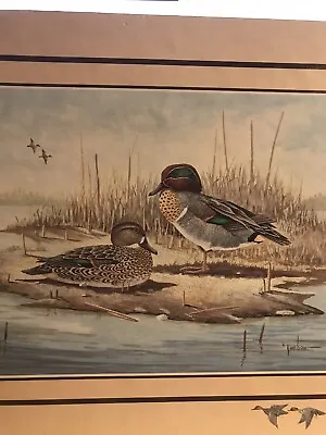 GUC Vintage Green Winged Teal Litho In USA Signed E Rambo Shows A Island W/Pair • £11.87