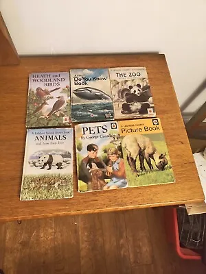 6 Ladybird Books - Animals Pets Picture BooksThe ZooDo You Know Heath And  • £19.99