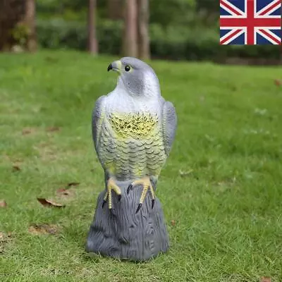 Falcon Pest Deterrent Garden Lawn Pond Bird Cat Scarer Decoy Decorative Hawk Uk • £10.35