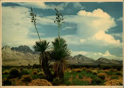 New Mexico Las Cruces Organ Mountains ~ 1983 Postcard Sku757 • $1.99