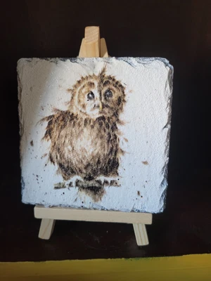 £8.99 • Buy Decorated Slate Coasters Owl Design.
