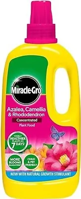 Miracle-Gro Azalea Camellia And Rhododendron Liquid Plant Food Bottle 1 L • £6.45