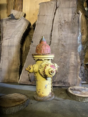 $475 • Buy Vintage Cast Iron Retired Fire Hydrant All Original M & H Valve