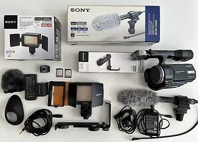 SONY NEX-VG20 E-Mount Digital Video Camera W/ Shotgun Mic LED Light & More • $795