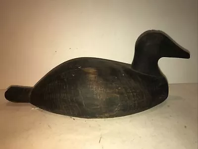 Eider Hen Sea Duck Decoy Levy Family Maine Nova Scotia Vintage • $160