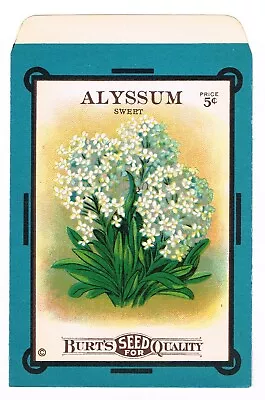 Vintage Seed Packet Alyssum Flowers Advertising 1915 Gardening General Store D2 • $5.95