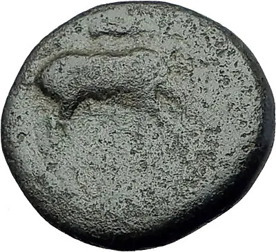 EPHESOS In IONIA 280BC Authentic Ancient Greek Coin BEE Stag & Quiver I63247 • $50