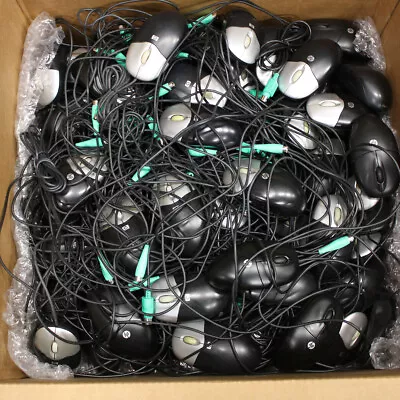 Lot Of 80 HP Computer Mice PS/2 Optical Mouse W/ Scroll Wheel  • $79.95