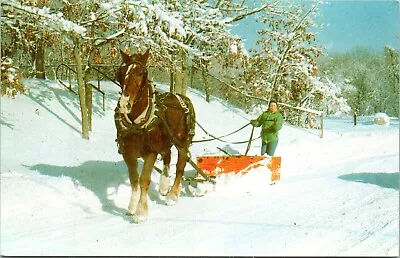 Horse Drawn Plow Taunton Massachusetts Chrome Postcard C21 • $4.24