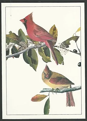 $14.99 • Buy Four BIRD LITHOGRAPHS By AUDUBON Cardinal, Crossbill, Blue Jay, Mallard