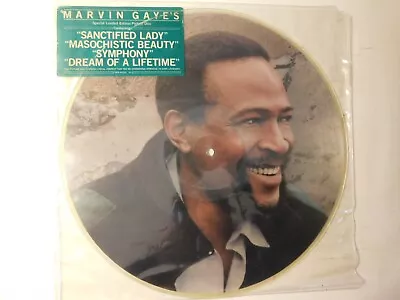 1985 LP  Marvin Gaye's Special Limited Edition Picture Disc With Hype Sticker • $15