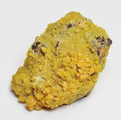 Mimetite Crystals - Guatomo Mine ('Hat Yai' Mimetite Locality) Thailand • $54.99