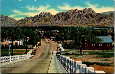 Las Cruces New Mexico Organ Mountains Viaduct Advertising Vintage Postcard • $5.35