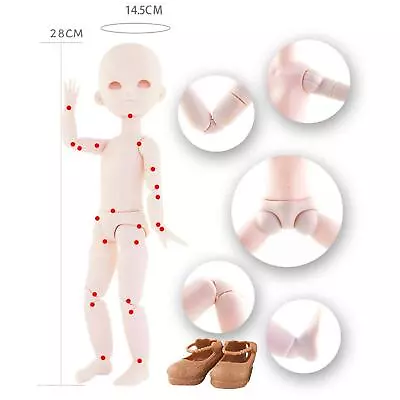 BJD Doll Toy Figure DIY Making Ball Jointed Dolls With Head Flexible • $21.35