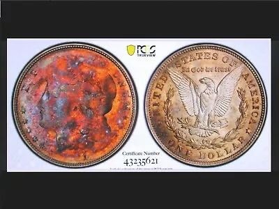 $3850 • Buy 1921 Morgan Dollar Ms62 TONED SILVER CANVAS ON STEROIDS Mint Error Struck Thru 