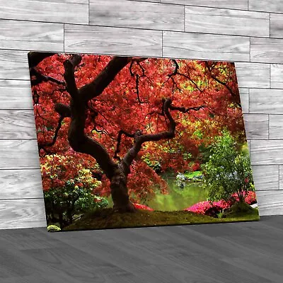 Exquisite Japanese Maple Stunning Garden Tree Canvas Print Large Picture Wall • £14.95