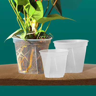 Clear Orchid Pots Flower Pots Garden Plant Grow Pots Plastic 10/12/15/18/21/24CM • £9.35