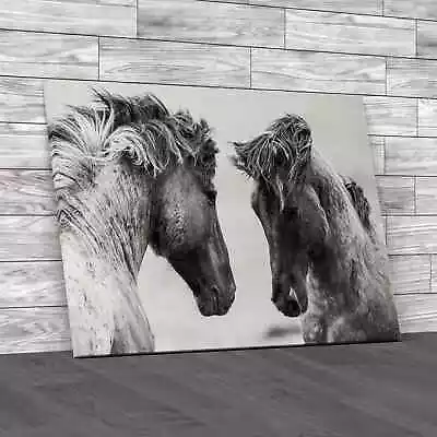 Weathered Horses Canvas Print Large Picture Wall Art • £14.95