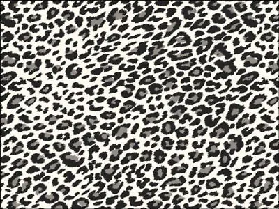 Black & White Leopard Print A4 Icing Sheet Cake Topper Edible Decoration Handbag • £3.75