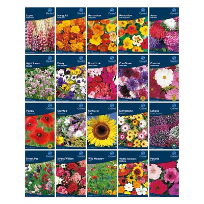 Flower Seeds Garden Treasures Flowering Variety Garden Plant Grow Free Uk P&P • £0.99