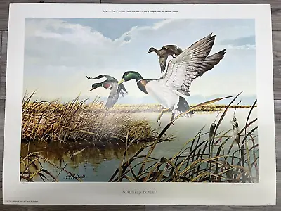 R. J. McDonald  Southern Bound  Print Signed & Numbered 432/500  Duck Nature • $129.99