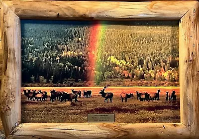 NEW  22”x16” RMNP “Rainbow” Elk Herd @ The Sheep Lakes Aspen Framed Canvas Print • $155