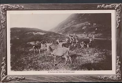 £2.39 • Buy Scotland Postcard - On The Hills, Loch Trool, Near Newton Stewart   RT395