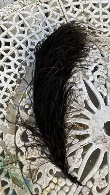 Antique Victorian Edwardian Black Ostrich Plume Feather Millinery 18” Mourning • $15.99